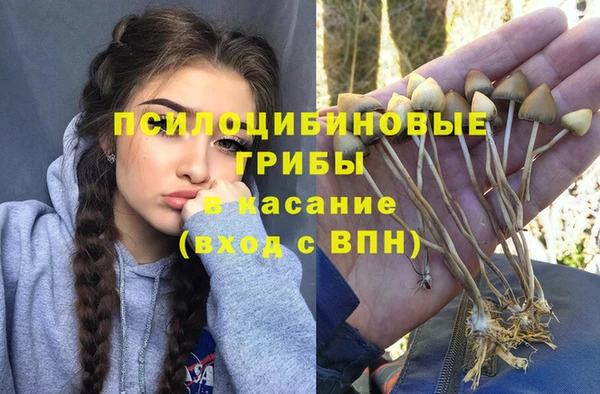 таблы Саяногорск